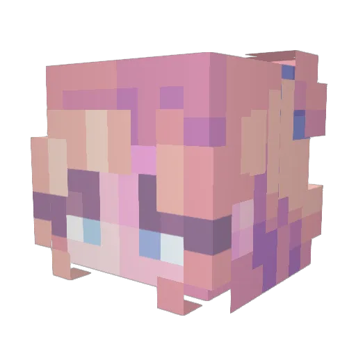 Lianne050 Minecraft avatar head, 3D render