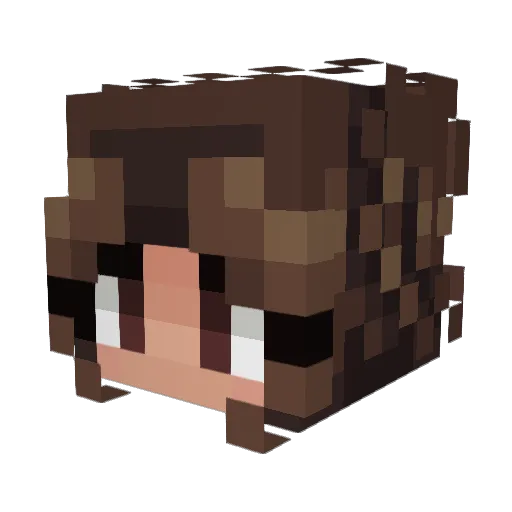 Liany_e Minecraft avatar head, 3D render