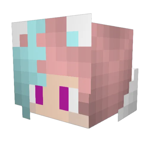Liaranight Minecraft avatar head, 3D render