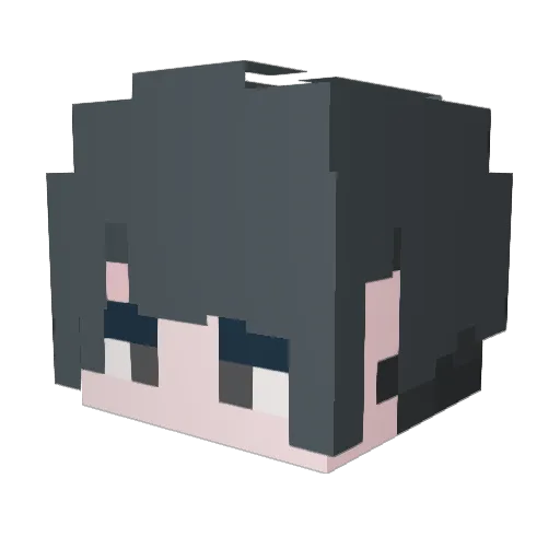 Lias_1g Minecraft avatar head, 3D render