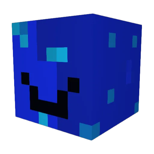 Liay100 Minecraft avatar head, 3D render