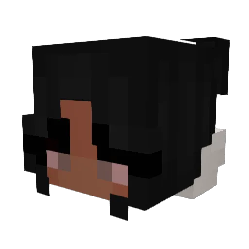 Lib1314 Minecraft avatar head, 3D render