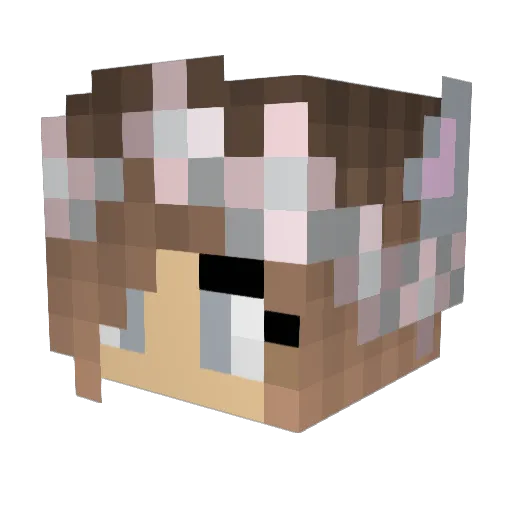 LibbyLoo2007 Minecraft avatar head, 3D render