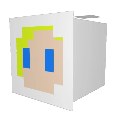 Libelle99 Minecraft avatar head, 3D render