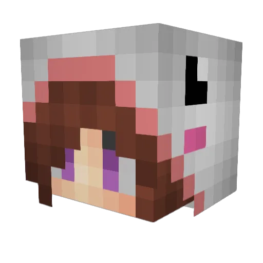 Libellle Minecraft avatar head, 3D render