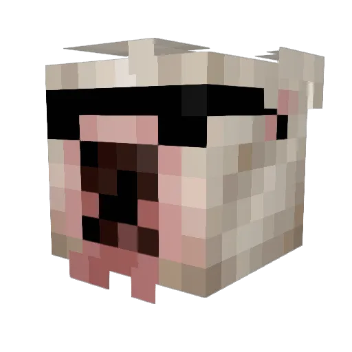 LiberalChungus69 Minecraft avatar head, 3D render