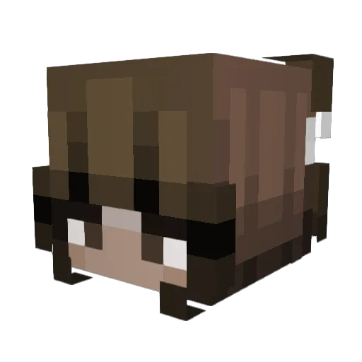 LiberiaXD Minecraft avatar head, 3D render
