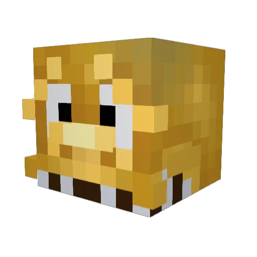 Libertad00 Minecraft avatar head, 3D render