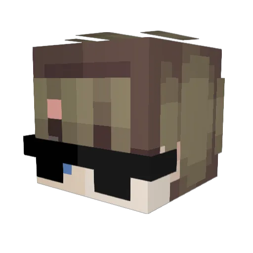 LibertyVault Minecraft avatar head, 3D render