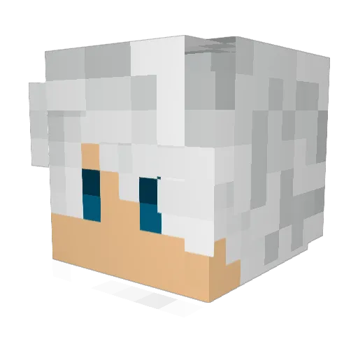 Liberty_24 Minecraft avatar head, 3D render