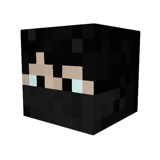 Libery300 Minecraft avatar head, 3D render