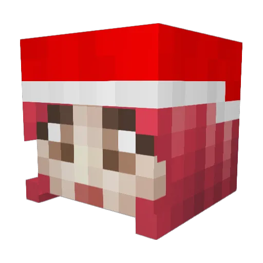 Libneo Minecraft avatar head, 3D render