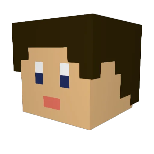 LibraryBlue Minecraft avatar head, 3D render