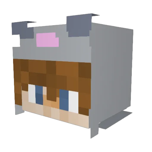 Librarymouse19 Minecraft avatar head, 3D render
