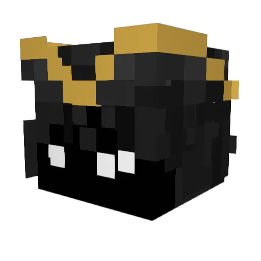 Licas20 Minecraft avatar head, 3D render