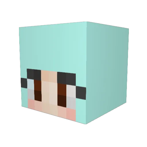 Licedas Minecraft avatar head, 3D render