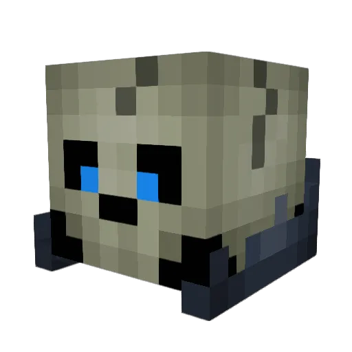 Lichlord91 Minecraft avatar head, 3D render