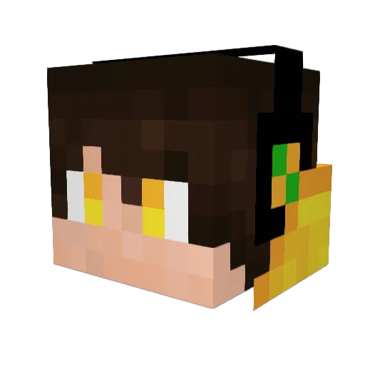 Lichmaster305 Minecraft avatar head, 3D render