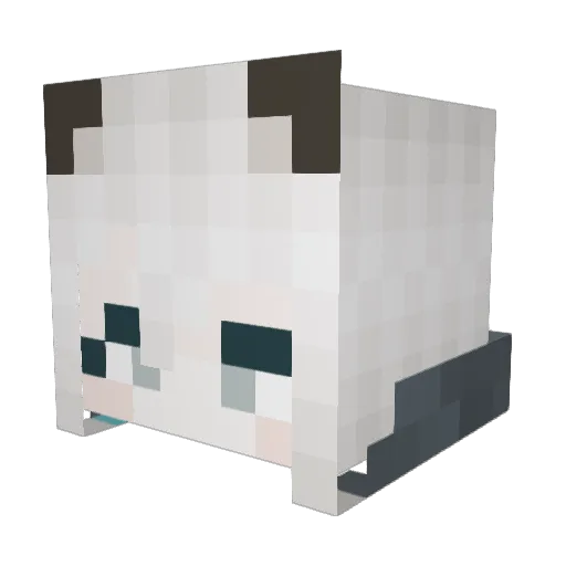 Lichtonatus Minecraft avatar head, 3D render