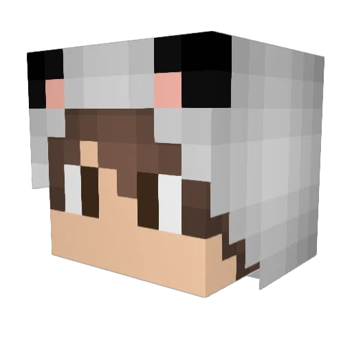 Lichtschalter Minecraft avatar head, 3D render