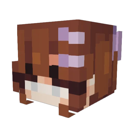 LicorneBraaa Minecraft avatar head, 3D render