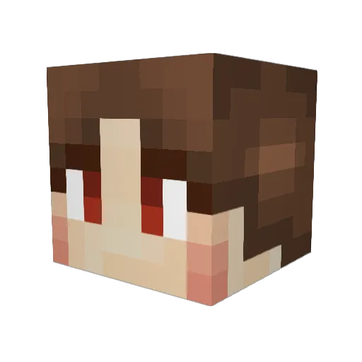 LidaBERS Minecraft avatar head, 3D render