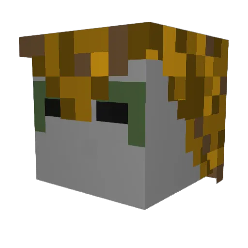 Lidde1l Minecraft avatar head, 3D render