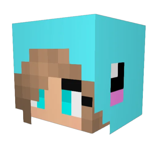 Liddlesmall Minecraft avatar head, 3D render