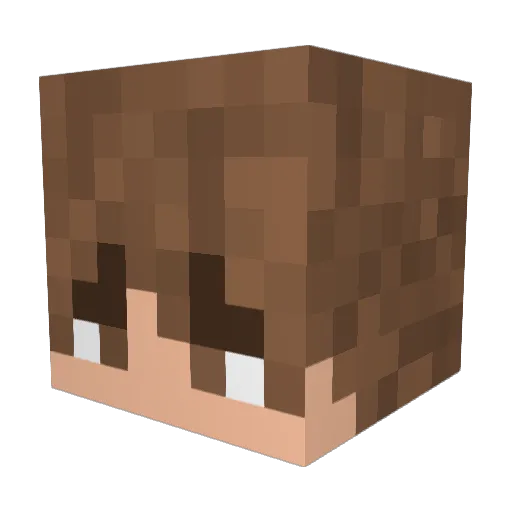 Liddss Minecraft avatar head, 3D render