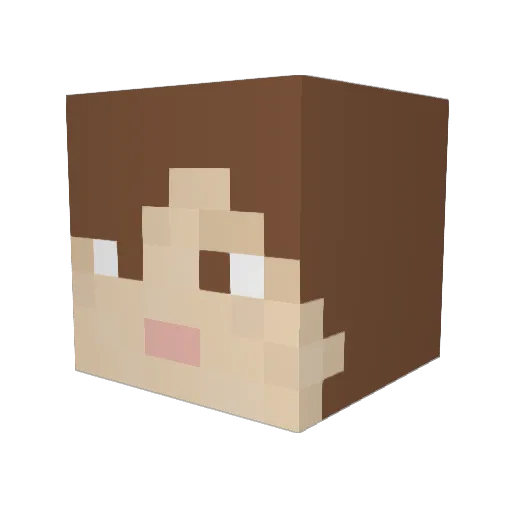 Lidia_2004 Minecraft avatar head, 3D render