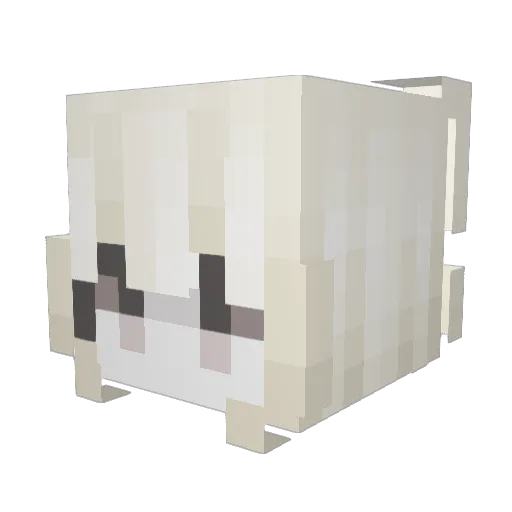 Lidik0111 Minecraft avatar head, 3D render