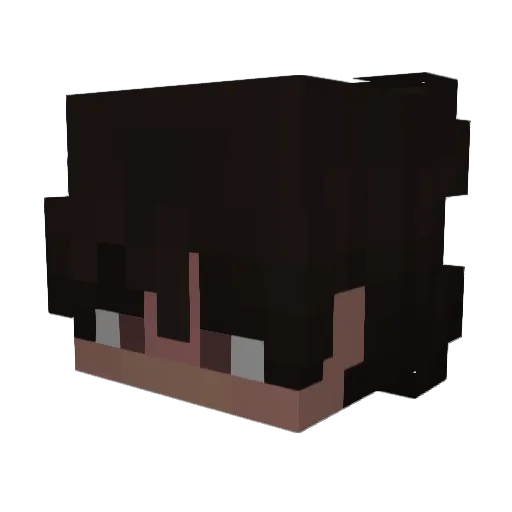 Lidiot Minecraft avatar head, 3D render