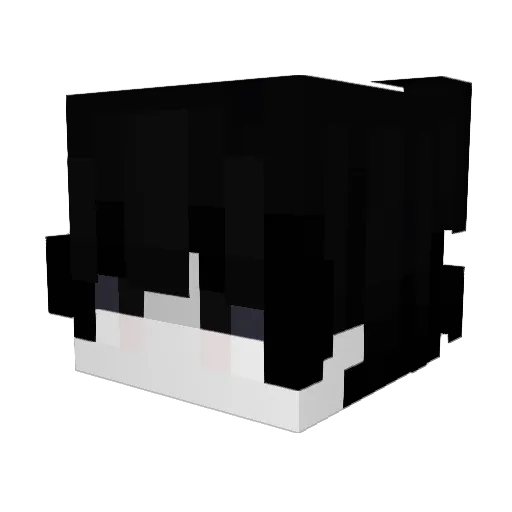 Liebessklaven Minecraft avatar head, 3D render