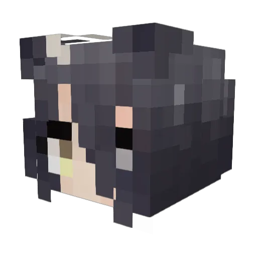 Liechie_idk Minecraft avatar head, 3D render