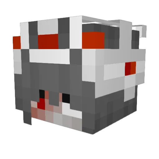 Liegewiederwach Minecraft avatar head, 3D render