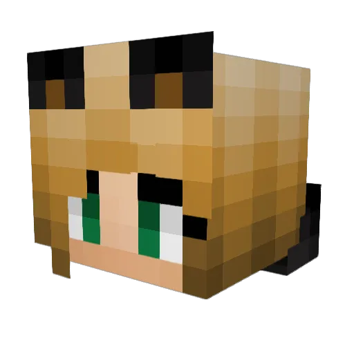 Lieken Minecraft avatar head, 3D render