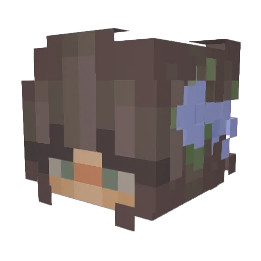 Liekjuhh Minecraft avatar head, 3D render
