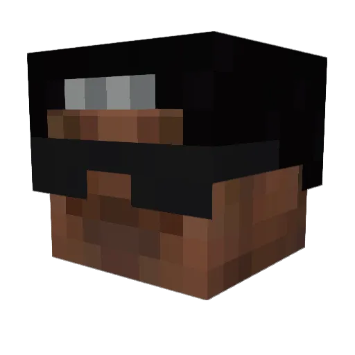 Liely118 Minecraft avatar head, 3D render