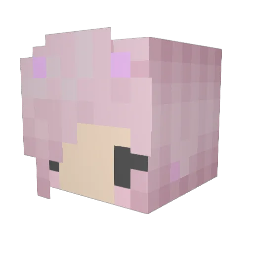 Liesa116 Minecraft avatar head, 3D render