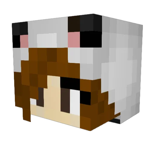 Liesel13 Minecraft avatar head, 3D render