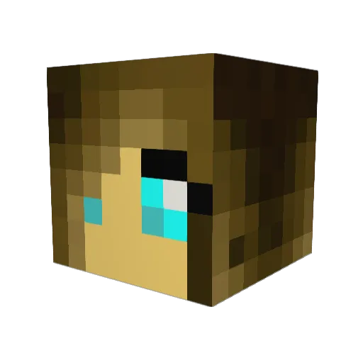 Liesie2004 Minecraft avatar head, 3D render