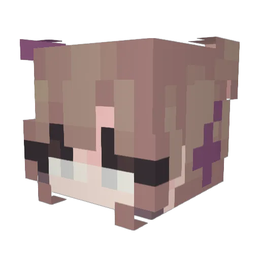 Liesy1111 Minecraft avatar head, 3D render