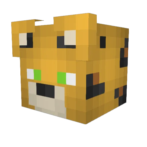 Lieutenant365 Minecraft avatar head, 3D render