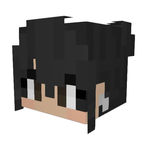 Lieutenant_Mesa Minecraft avatar head, 3D render