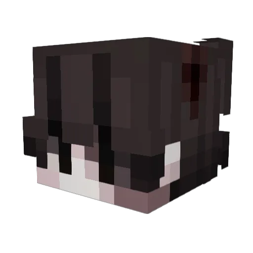 Lieutenant_Panda Minecraft avatar head, 3D render