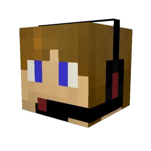 Lieuwe Minecraft avatar head, 3D render