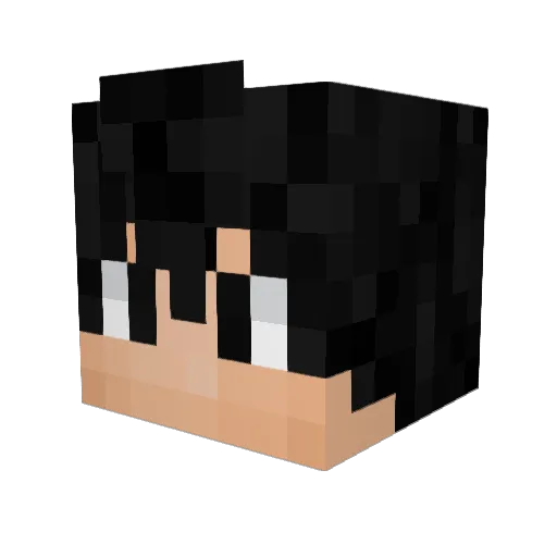 Lif3Breath Minecraft avatar head, 3D render