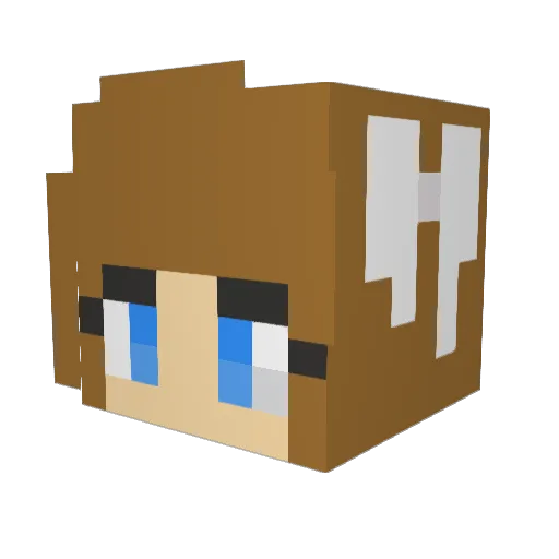 Life4Christ Minecraft avatar head, 3D render