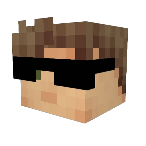 Life855 Minecraft avatar head, 3D render