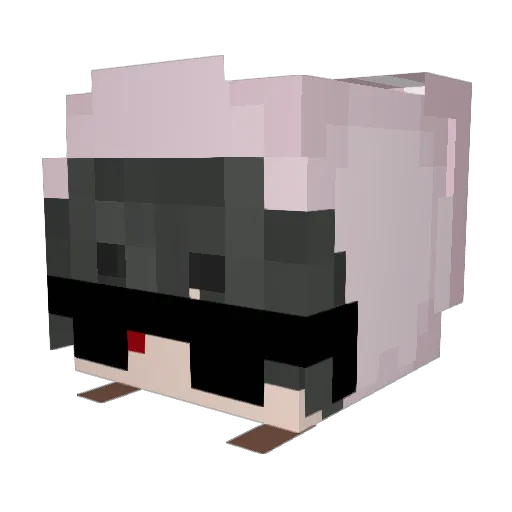 LifeBony Minecraft avatar head, 3D render